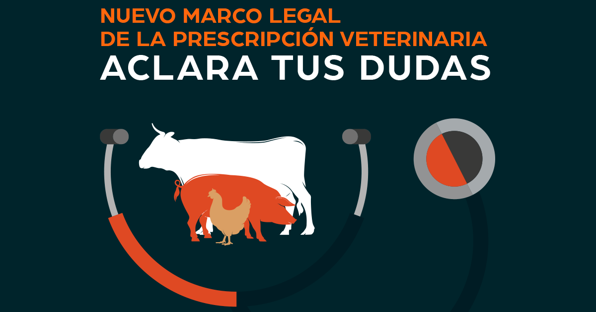 Nuevo marco legal de la prescripción veterinaria Aclara tus dudas