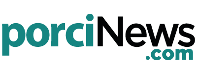 porciNews