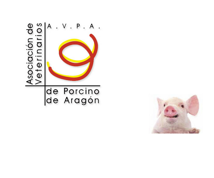 El IX Congreso de la Asociación de Veterinarios de Porcino de Aragón, AVPA