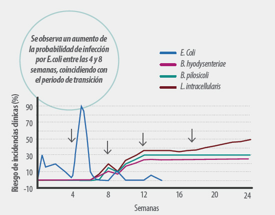 grafico1