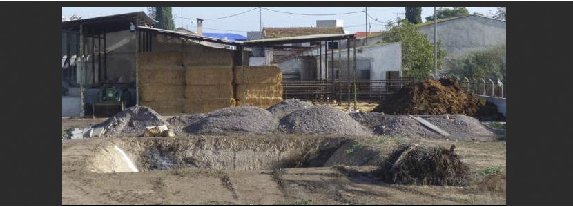Denuncian la instalación de una balsa de purines en una granja de Murcia