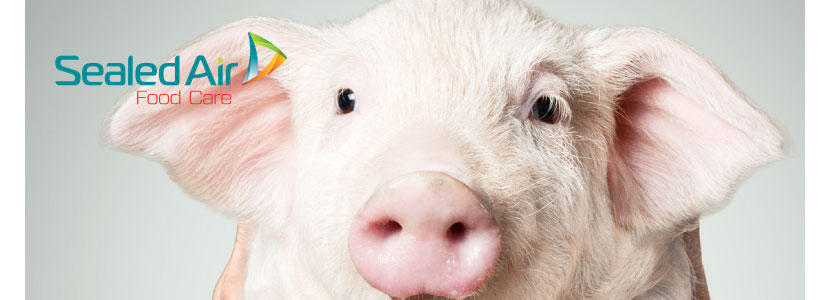 El IRTA acoge la jornada Lovepork, sobre los retos que...