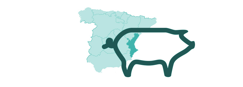 El número de cerdos ha crecido en la Comunidad Valenciana un 8%