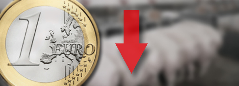 Los productores de porcino pierden 30 € por cerdo