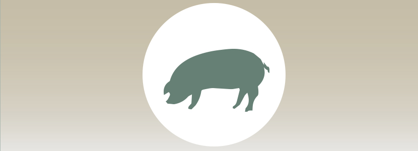Efectos del uso de zinc (ZN) sobre la integridad y metabolismo intestinal en cerdos con estrés calórico