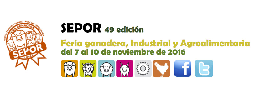 SEPOR colabora con el VIII Seminario “Feet First” que la...