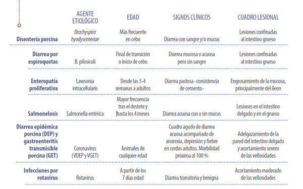 procesos-diagnóstico-diferencial