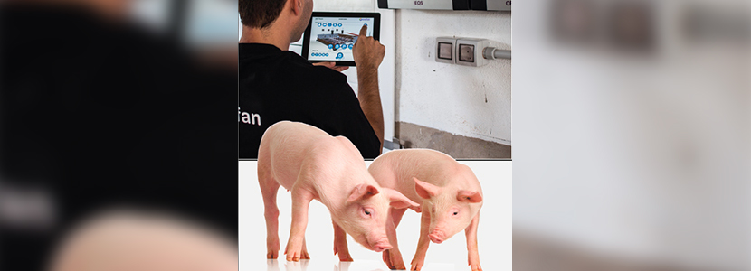 Reguladores Exafan para porcino ‘Touch and control series’