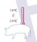 temperatura-estres-termico