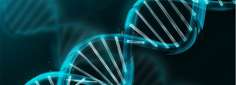 Genética porcina: Entre la genealogía y  la genómica