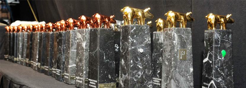 VIC SERÁ LA SEDE DE LA XXIII GALA DE ENTREGA DE LOS PREMIOS PORC D’OR