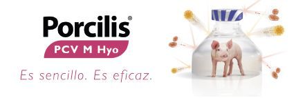MSD porcilis facil DESTACADA 1