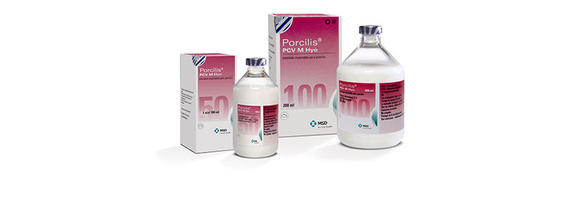 45 millones de cerdos vacunados con Porcilis PCV M Hyo