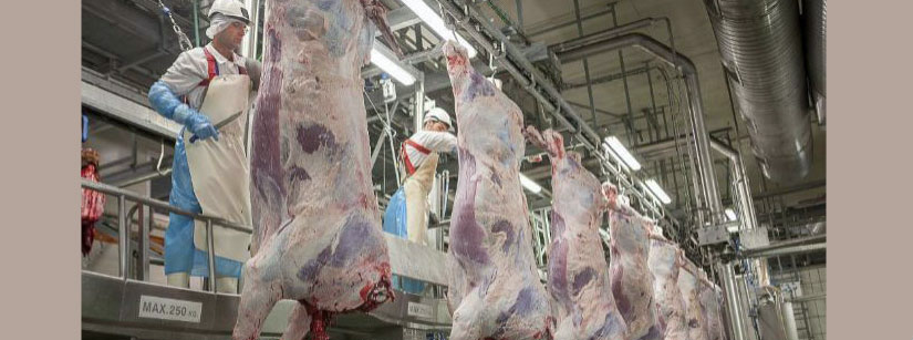 Cambian los de proveedores de carne de Mercadona