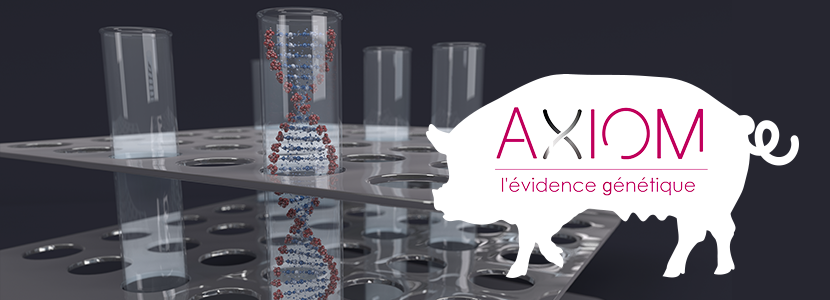 Nace AXIOM, líder francés de la genética porcina, con una dimensión internacional