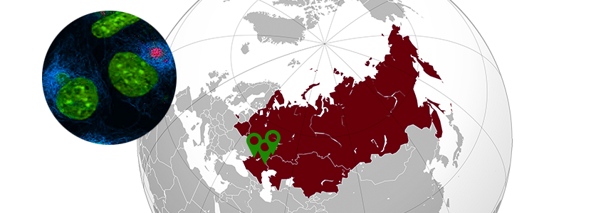 Rusia informa de tres nuevos brotes de peste porcina africana