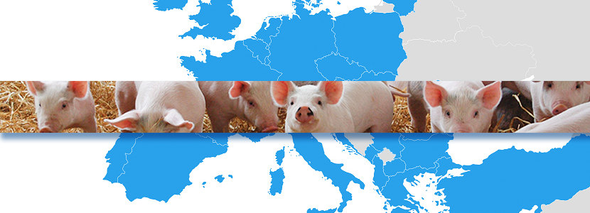 La UE ve descender los precios del porcino
