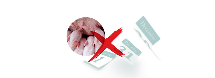Los días no productivos (DNP’S), ¿cómo los calculamos?