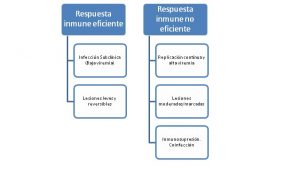 esquema