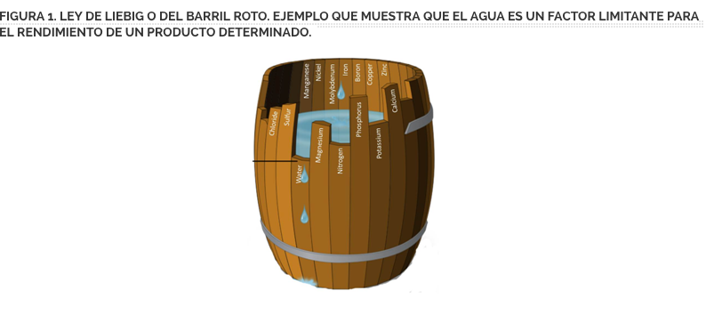 figura-1