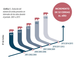 indicestecnicos-grafico-incremento-cerdas