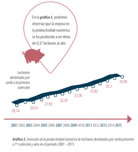 indicestecnicos-grafico-productividad