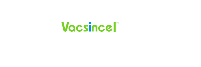 Cerca de 600.000 cerdas ibéricas serán vacunadas este año en España con Vacsincel®