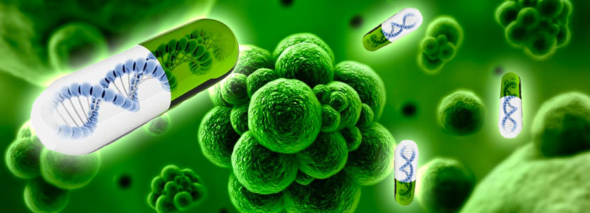 Resistencia Antimicrobiana (AMR)