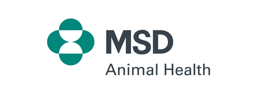 MSD Animal Health repasa la actualidad del circovirus con Joaquim...