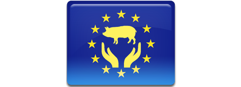 Reunión de la Plataforma comunitaria del bienestar animal en Bruselas