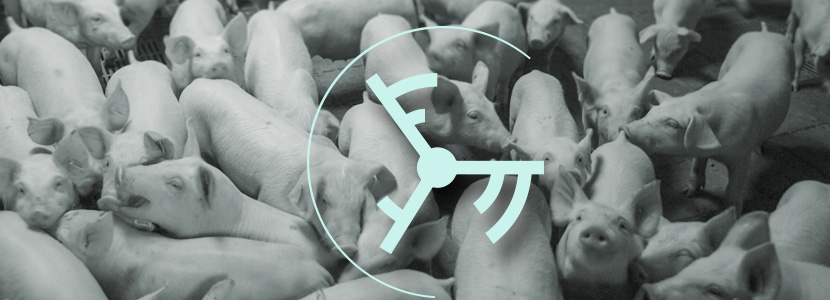 El ventilador – elemento clave para el control ambiental