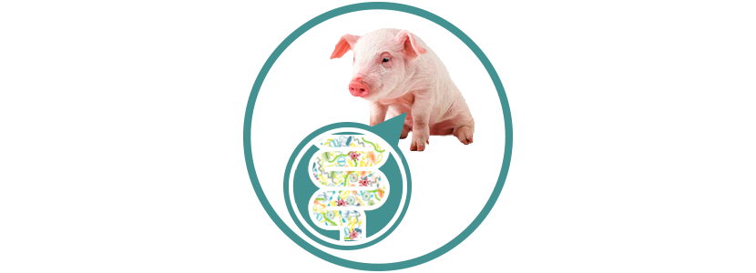 La Era de la Microbiota