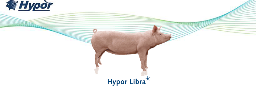 La Hypor Libra* es la cerda que produce más calostro y de mejor calidad