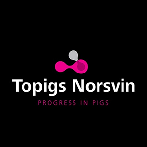 Topigs Norsvin