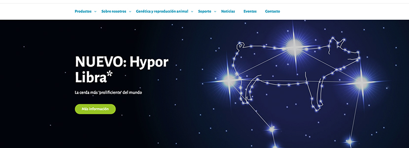!Descubre la nuestra nueva web de HYPOR!
