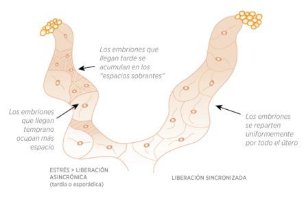 Sincronización