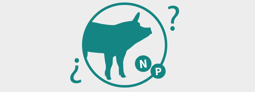 ¿Cómo calculo el balance de nitrógeno y fósforo en porcino?
