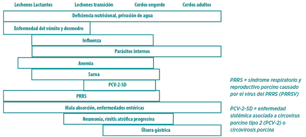causas desmedro
