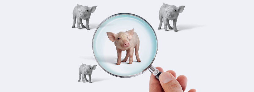 Analíticas para el control de la bioseguridad en las explotaciones porcinas