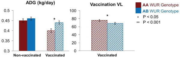 respuesta a la vacunación