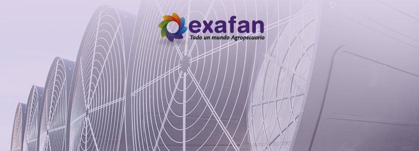 Exafan – Soluciones integrales para cada época del año
