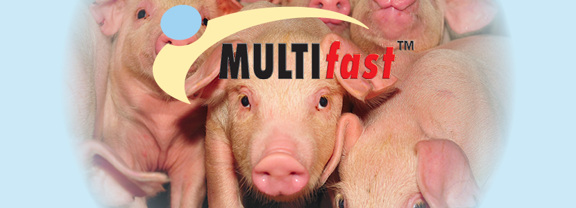 Alimentación flexible con el sistema MULTIfast<sup>TM</sup>