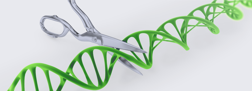 Cerdos resistentes al PRRS – Ya son una realidad gracias a CRISPR/Cas9