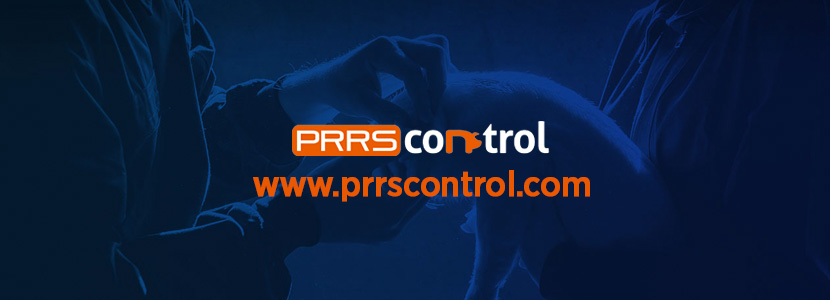 Nueva Web PRRSCONTROL.COM por HIPRA