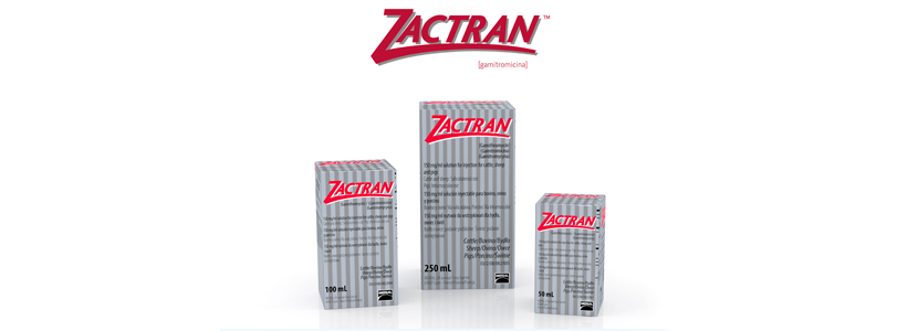 ZACTRAN®: nueva indicación para porcino frente a B. bronchiseptica