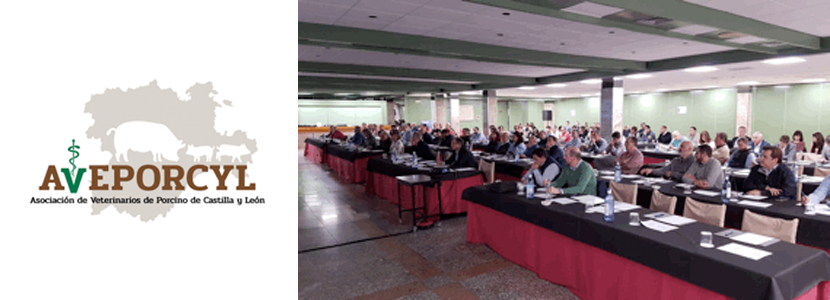 Aveporcyl organiza su I Jornada Técnica
