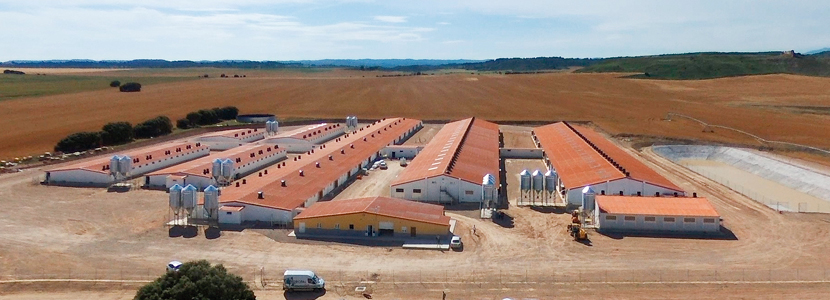 Explotación Agromezquita – Unas instalaciones para producción de alto nivel