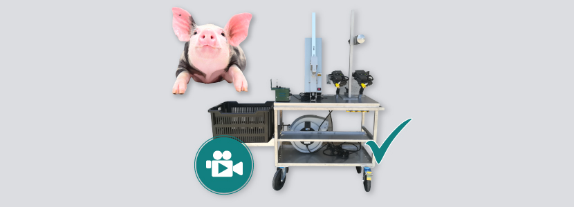 El carro de parideras de Arvet – La revolución tecnológica del sector porcino