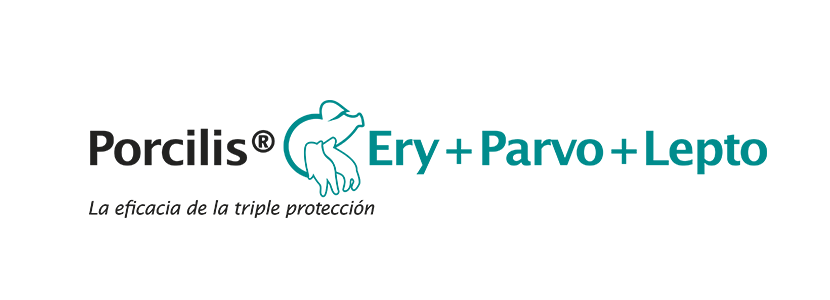 Porcilis®Ery+Parvo+Lepto: 1ª vacuna frente a leptospirosis porcina en España