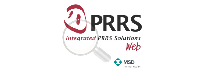 Integrated PRRS Solutions: toda la información sobre el PRRS, a...